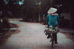 vietnam image